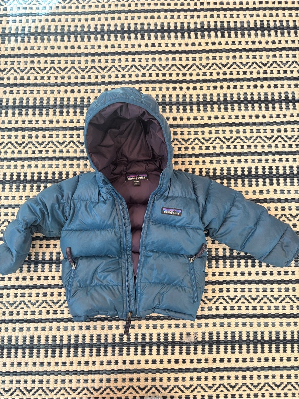 Patagonia Kids Hi-Loft Coat